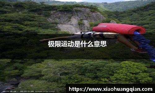 极限运动是什么意思