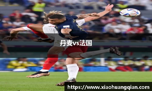 丹麦vs法国