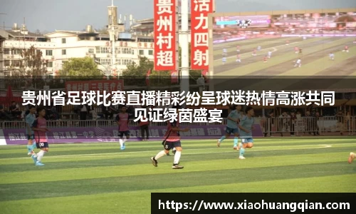 贵州省足球比赛直播精彩纷呈球迷热情高涨共同见证绿茵盛宴